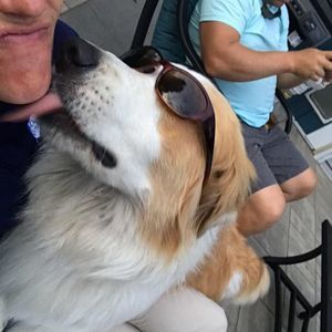 Meet your Posher, Cynthia